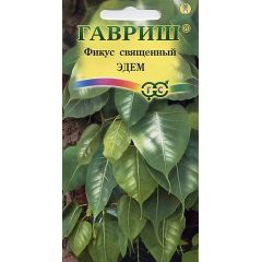 Семена Фикус священный Эдем 0,03 г