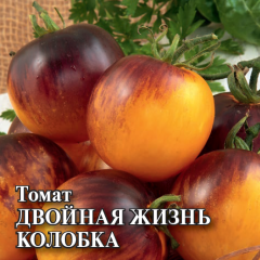 Томат Двойная жизнь колобка (пурпурно-янтарный биколор) 100 шт.