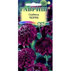 Скабиоза пурпурная Черри, махр. 0,2 г