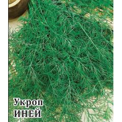 Укроп Иней 100,0 г