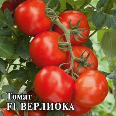 Томат Верлиока F1 100 шт.