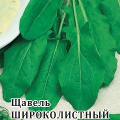 Семена Щавель Широколистный 50 г