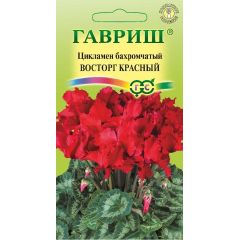 Семена Цикламен Восторг красный F1 махровый 3 шт.