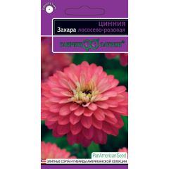Семена Цинния Захара лососево-розовая 5 шт