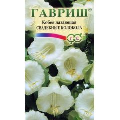Семена Кобея Лазающая Свадебные колокола 5 шт