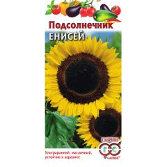Семена Подсолнечник Енисей 10 г