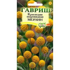 Семена Краспедия шаровидная Мерлин 5 шт.