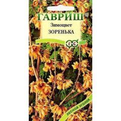 Семена Зимоцвет ранний Зоренька 3 шт.