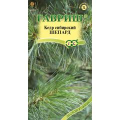 Семена Кедр сибирский Шепард 3 шт.