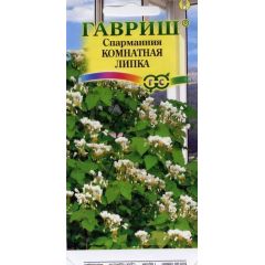 Семена Спармания комнатная Липка 3 шт