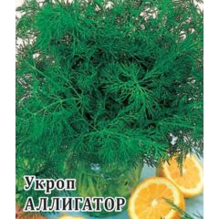 Семена Укроп Аллигатор 1 кг