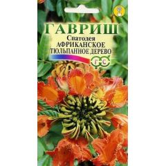 Семена Спатодея Африканское тюльпанное дерево 0,05 г