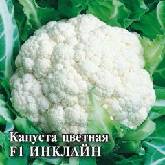 Семена Капуста цветная Инклайн F1 100 шт