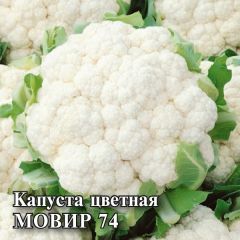 Семена Капуста цветная Мовир 74 10 г