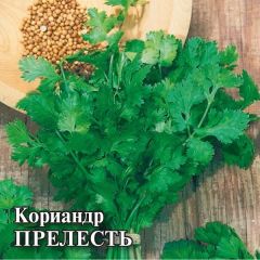 Семена Кориандр Прелесть 100 г