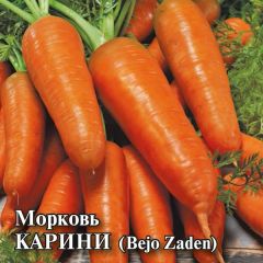 Семена Морковь Карини 25 г Голландия
