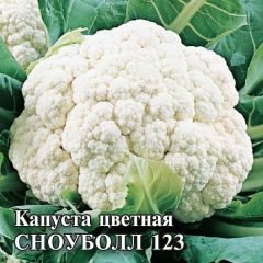 Семена Капуста цветная Сноуболл 123 25 г
