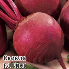 Семена Свекла Игл F1 25 г