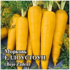 Семена Морковь Еллоустоун 10 г Голландия