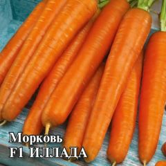 Семена Морковь Иллада F1 25 г