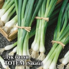 Семена Лук батун Тотем 10 г