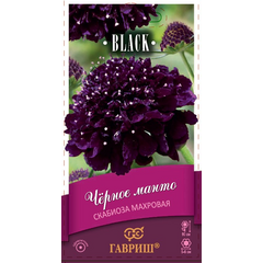 Скабиоза пурпурная Чёрное манто, махр. 0,2 г серия Блэк