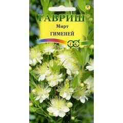 Мирт Гименей 4 шт.