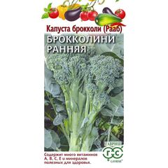 Капуста брокколи (Рааб) Ранняя 60 дней 0,5 г