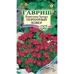 Камнеломка Арендса Пурпурный ковер* 0,01 г
