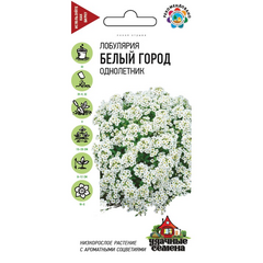 Лобулярия Белый город морская 0,05 г Удачные семена