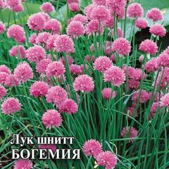 Лук шнитт Богемия 50,0 г