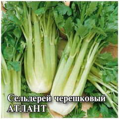 Сельдерей черешковый Атлант 5,0 г