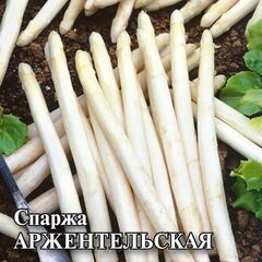 Спаржа Аржентельская 50,0 г
