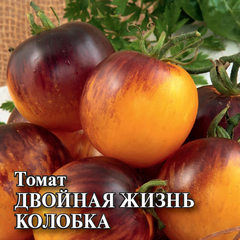 Томат Двойная жизнь колобка (пурпурно-янтарный биколор) 100 шт.