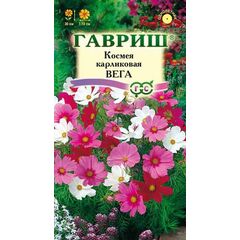 Космея Вега, бело-розовая смесь 0,5 г