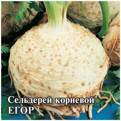 Сельдерей корневой Егор 25,0 г
