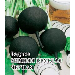 Редька Зимняя круглая чёрная 100,0 г