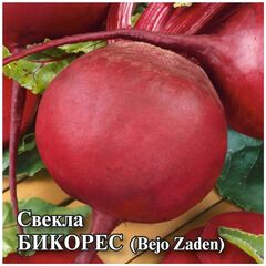 Свекла Бикорес 50,0 г (Голландия)