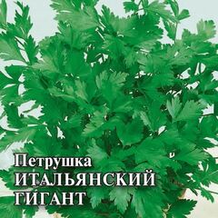 Петрушка Итальянский гигант 25,0 г