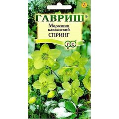 Морозник Спринг лимонно-зеленый восточный (кавказский) 0,1 г