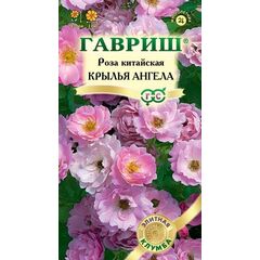 Роза китайская  Крылья ангела* 5 шт. серия Элитная клумба