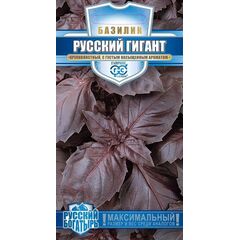 Базилик Русский гигант, фиолетовый 0,1 г серия Русский богатырь