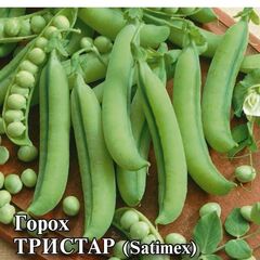 Горох Тристар 50,0 г (Голландия)