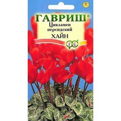 Цикламен Хайн персидский* 3 шт.