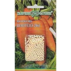 Морковь гранулир. Шантенэ 2461 300 шт. гель