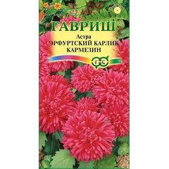 Астра Эрфуртский карлик Кармезин, однолетняя (красная) 0,3 г