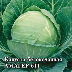 Капуста белокоч. Амагер 611 25,0 г для хранения
