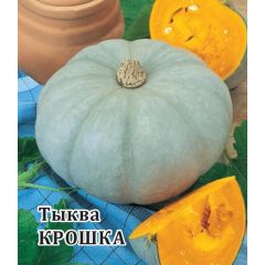 Тыква Крошка 100,0 г