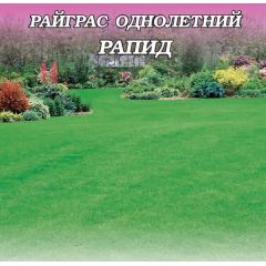 Райграс однолетний Рапид 0,5 кг