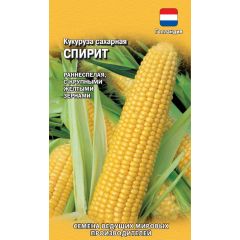 Кукуруза Спирит сахарная 15 шт. (Голландия)